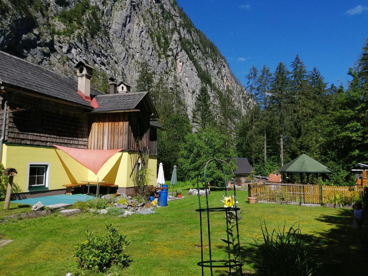 Haus Waldbach Villa Hallstatt Ngoại thất bức ảnh
