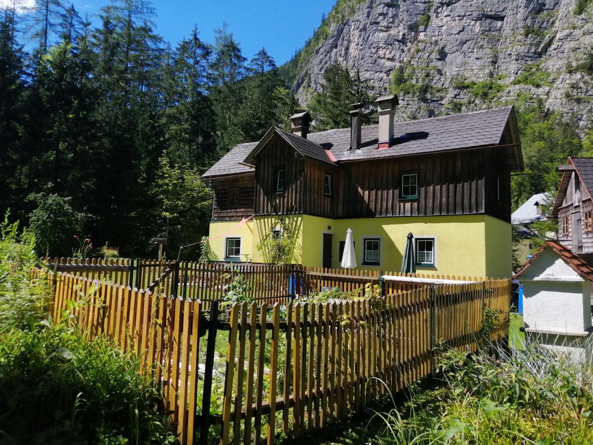 Haus Waldbach Villa Hallstatt Ngoại thất bức ảnh