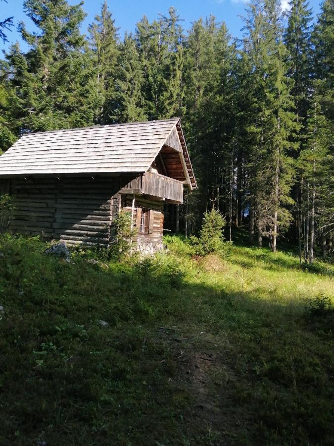 Haus Waldbach Villa Hallstatt Ngoại thất bức ảnh