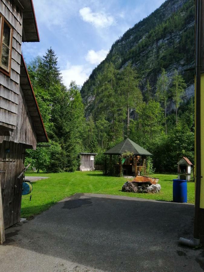 Haus Waldbach Villa Hallstatt Ngoại thất bức ảnh