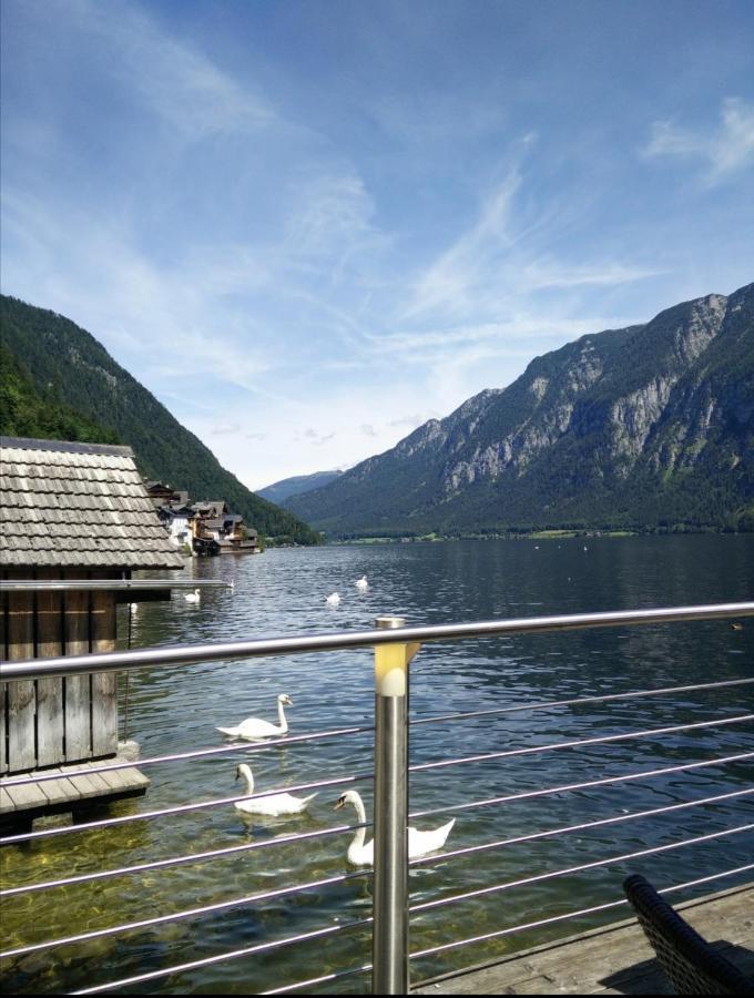 Haus Waldbach Villa Hallstatt Ngoại thất bức ảnh